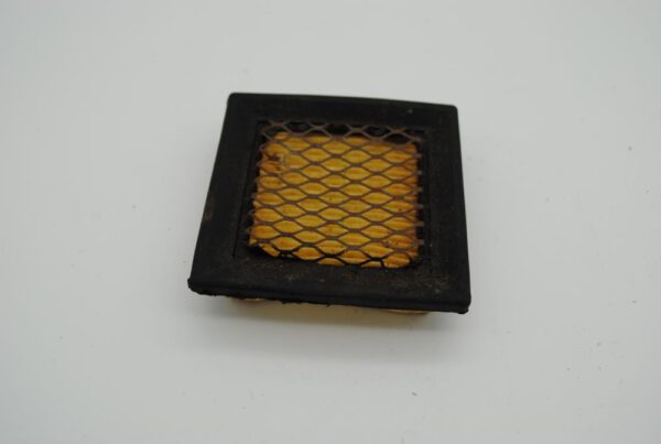 450247 Tecumseh Air Filter