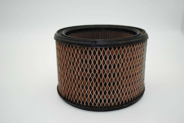 AF117-1387 Air Filter